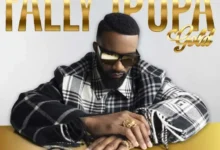 Fally Ipupa - 100 Mp3 Download