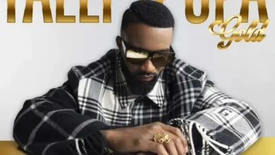 Fally Ipupa - 100 Mp3 Download