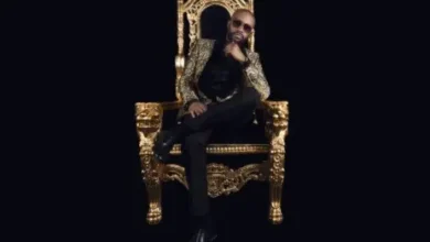 Fally Ipupa - Ecole Mp3 Download