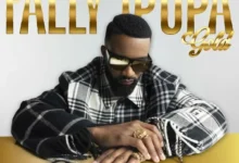 Fally Ipupa - Nzoto Mp3 Download