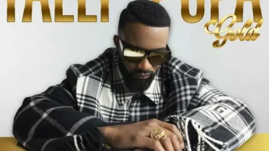 Fally Ipupa - Nzoto Mp3 Download