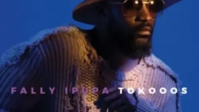 Fally Ipupa ft R Kelly - Nidja Mp3 Download