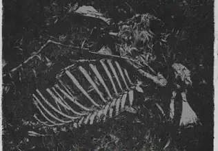 Zakalara - Verite Mp3 Download