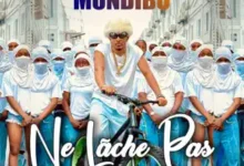Robinio Mundibu - Ne Lache Pas Mp3 Download