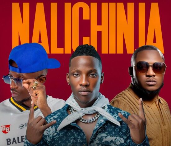 Blood Kid ft Chef 187 & Dizmo – Nalichinja Mp3 Download