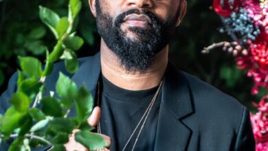 Fally Ipupa - No More Tears Mp3 Download
