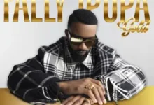 Fally Ipupa - Ca Bouge Pas Mp3 Download