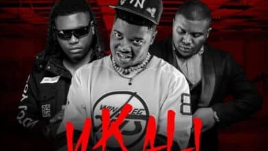 Y Cool ft Stevo & Tommy Dee – Ukali Mp3 Download