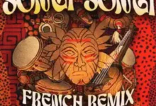 Salima Chica ft Wayne Flenory - Songi Songi (French Remix) Mp3 Download